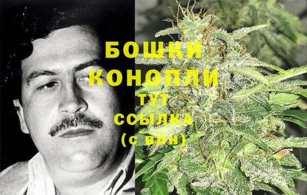 амф Дмитров