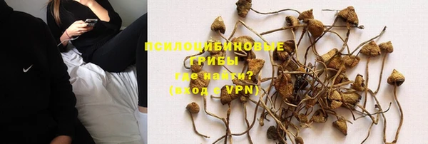 эйфоретик Переславль-Залесский