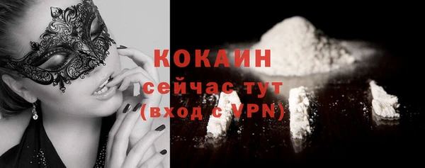твердый Пестово