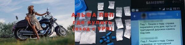 стаф Чекалин