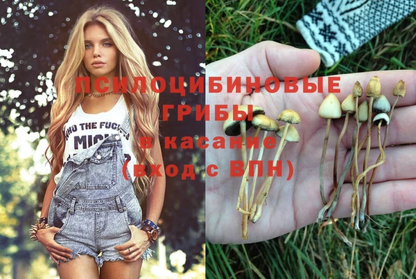 гидропоника Болохово