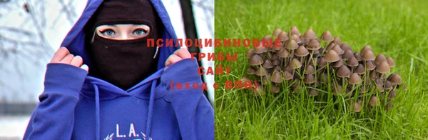 твердый Пестово