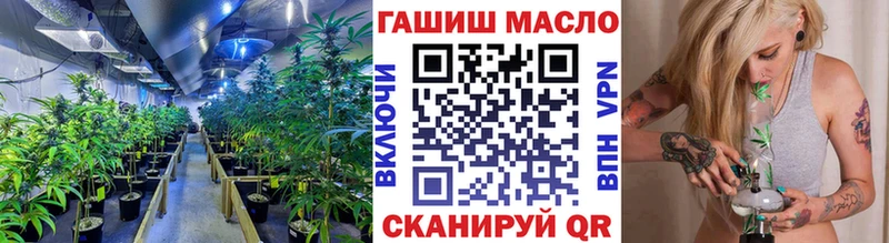 где можно купить   Агрыз  Дистиллят ТГК Wax 