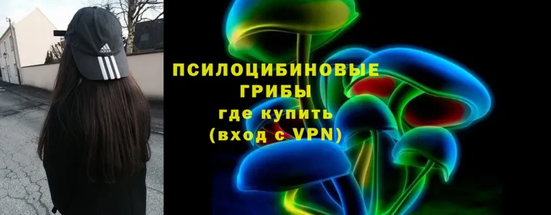 цена   Агрыз  Галлюциногенные грибы Psilocybine cubensis 